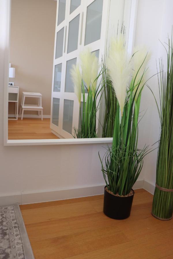 Meerbrise - Luxury Villa Banjole Dış mekan fotoğraf